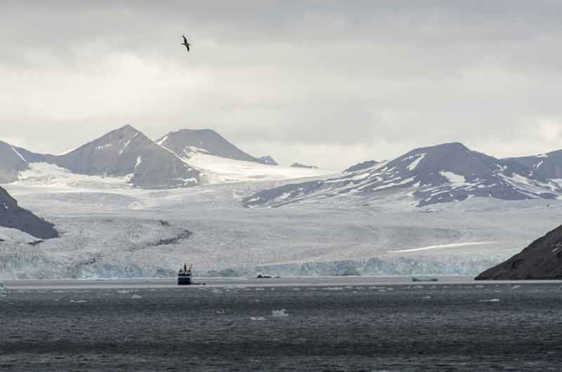 40 - Noruega - islas Svalbard - isla de Spitsbergen - fiordo Hornsund